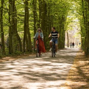 EuroParcs Hoge Kempen