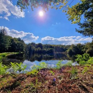 Vodatent Camping Montard