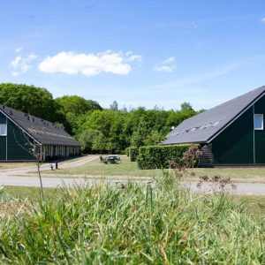 Horsetellerie Rheezerveen